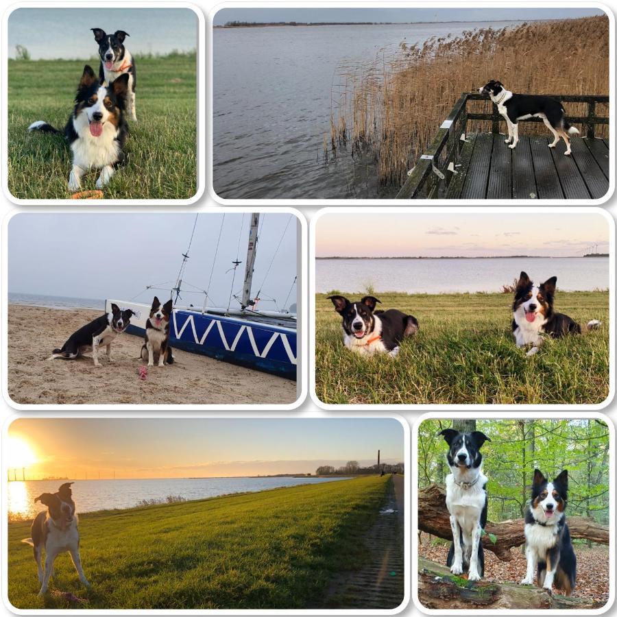 Riverside-Lemmer Dış mekan fotoğraf
